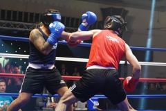 Picture-Perfect-Photography-16