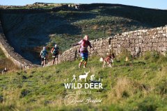 2023-WDE-Hadrian-Half-Marathon-0236