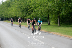 2023-WDE-Rother-Valley-Triathlon-and-Duathlon-1566