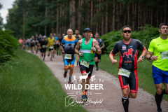 ting
DEER EV
20
100
134