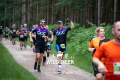 A
DCC
D
C
DCC
LD DEER
135