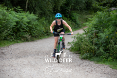 ON
WILD DEER EVEN
66