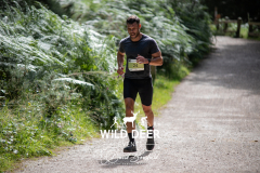 ww
WILD DEER
24