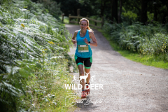 WILD DEER EVERTS
3
/h