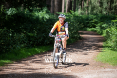 MOSSLE
WILD DEER EVENTS
91