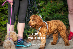 2023-Wild-Deer-Gibside-Trail-Runs-0016