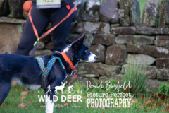2023-WDE-Slaley-Hall-Trail-Runs-0036