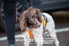 2023-WDE-Slaley-Hall-Trail-Runs-0046
