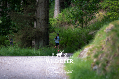 2023-WDE-Whinlatter-Trail-Runs-0086