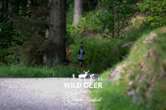 2023-WDE-Whinlatter-Trail-Runs-0087