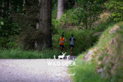 2023-WDE-Whinlatter-Trail-Runs-0088