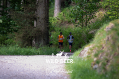 2023-WDE-Whinlatter-Trail-Runs-0089