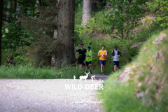 2023-WDE-Whinlatter-Trail-Runs-0090