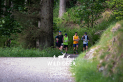 2023-WDE-Whinlatter-Trail-Runs-0091