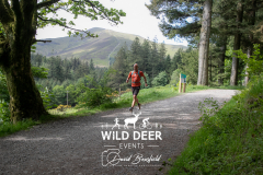 2023-WDE-Whinlatter-Trail-Runs-0160