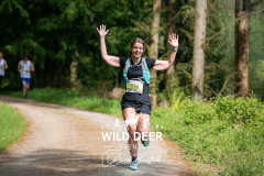 WILD DEER EVEN
518