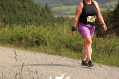 WILD DEER EVENTS
382