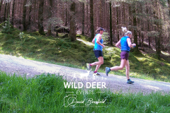 2023-WDE-Whinlatter-Trail-Runs-0520