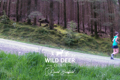 2023-WDE-Whinlatter-Trail-Runs-0577