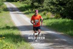 WILD DEER EVENTS
3131