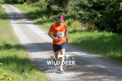 WILD DEER EVENTS
3131