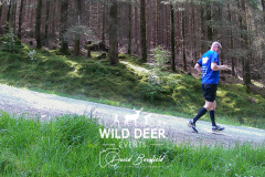 2023-WDE-Whinlatter-Trail-Runs-0622