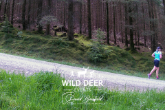 2023-WDE-Whinlatter-Trail-Runs-0664