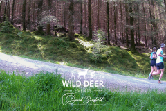 2023-WDE-Whinlatter-Trail-Runs-0749
