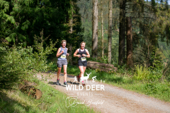 2023-WDE-Whinlatter-Trail-Runs-0827