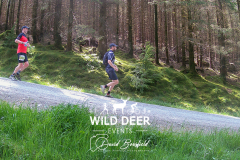 2023-WDE-Whinlatter-Trail-Runs-0935