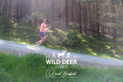 2023-WDE-Whinlatter-Trail-Runs-0965