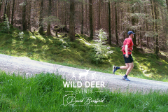 2023-WDE-Whinlatter-Trail-Runs-1030
