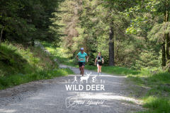 2023-WDE-Whinlatter-Trail-Runs-1049