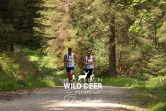 2023-WDE-Whinlatter-Trail-Runs-1086
