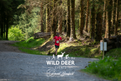 2023-WDE-Whinlatter-Trail-Runs-1180