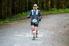 WILD DEER EVENTS
484