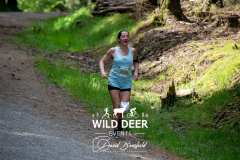 WILD DEER EVENTS
3036