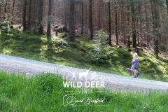 2023-WDE-Whinlatter-Trail-Runs-1299