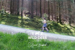 2023-WDE-Whinlatter-Trail-Runs-1303