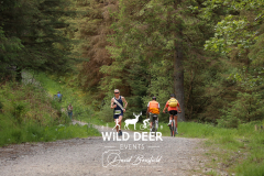 2023-WDE-Whinlatter-Trail-Runs-1319