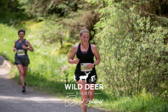 WILD DEER
50
