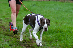 2024-Brocklesby-Park-Trail-Runs-151