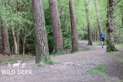 2024-Delamere-Forest-Duathlons-0325