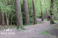 2024-Delamere-Forest-Duathlons-0335