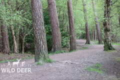 2024-Delamere-Forest-Duathlons-0434