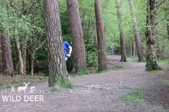 2024-Delamere-Forest-Duathlons-0959