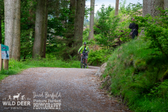 2024-Whinlatter-Trail-Runs-0031