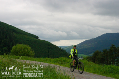 2024-Whinlatter-Trail-Runs-1574