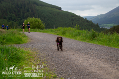 2024-Whinlatter-Trail-Runs-3136