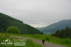 2024-Whinlatter-Trail-Runs-3148